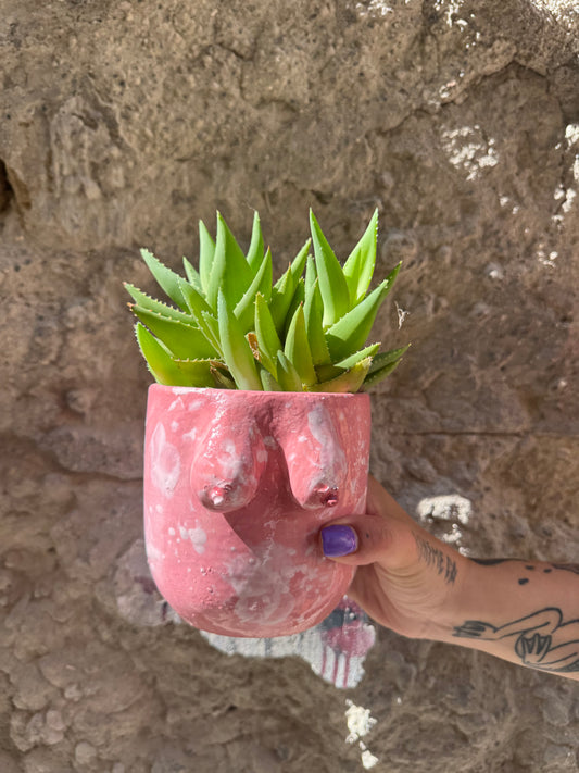 Vaso Boobs rosa di Oilloc2, decorativo in ceramica con forma di seni femminili, ideale per arredi moderni e originali