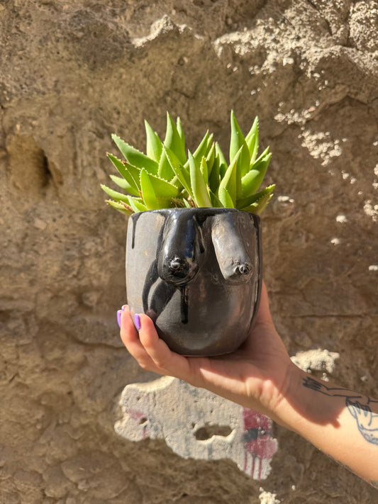 Vaso Boobs grigio di Oilloc2, decorativo in ceramica con forma di seni femminili, su sfondo neutro.