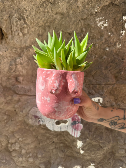 Vaso Boobs rosa di Oilloc2, decorativo in ceramica con forma di seni femminili, ideale per l'arredamento di casa.